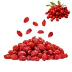 Berberitzen - Zereshk