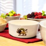 Keramikschale mit  Shirokhorshid