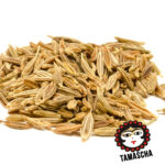 Kreuzkümmel - Zireh